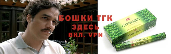 тгк Алексин