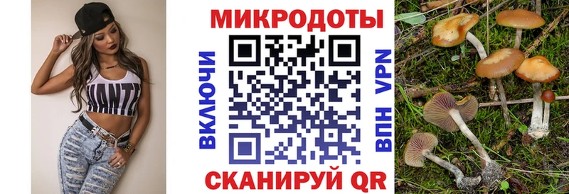 купить  сайты  Курганинск  Галлюциногенные грибы Cubensis 